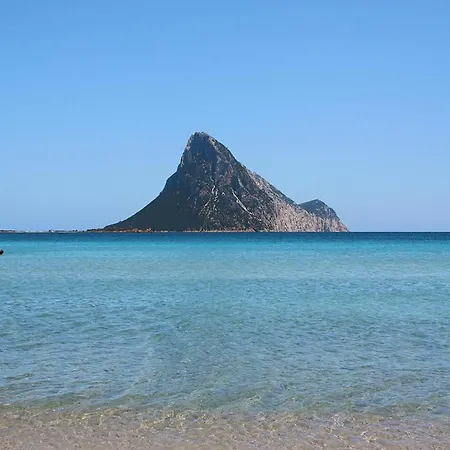 With Sea View In The Lu Nibareddu In Loiri *